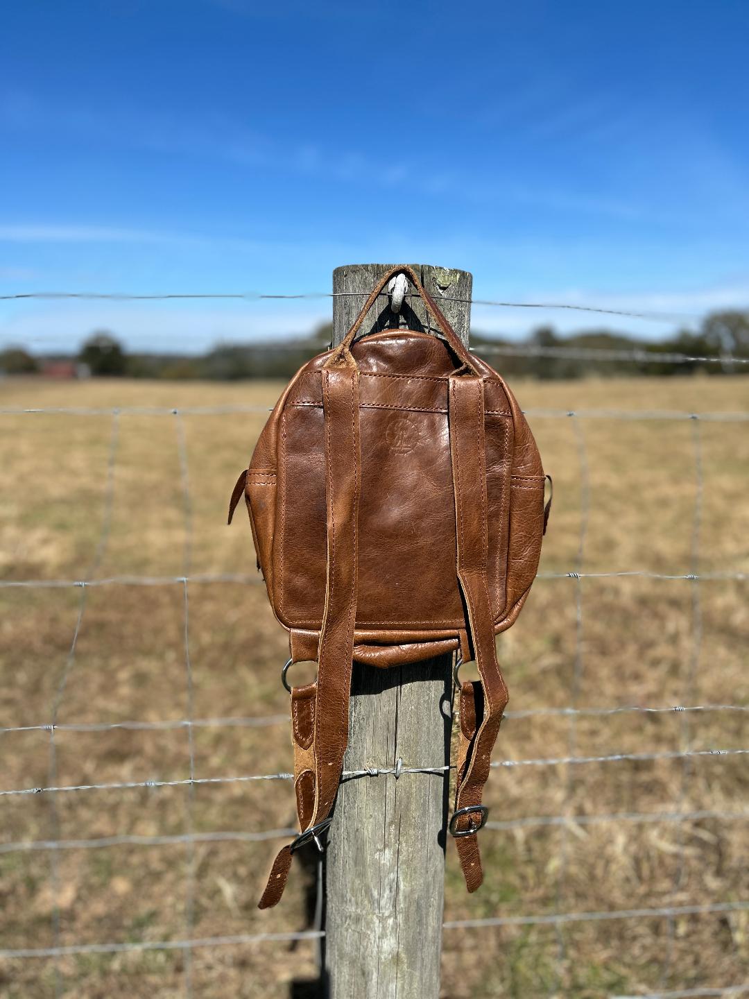 American Bison Sioux Vanilla