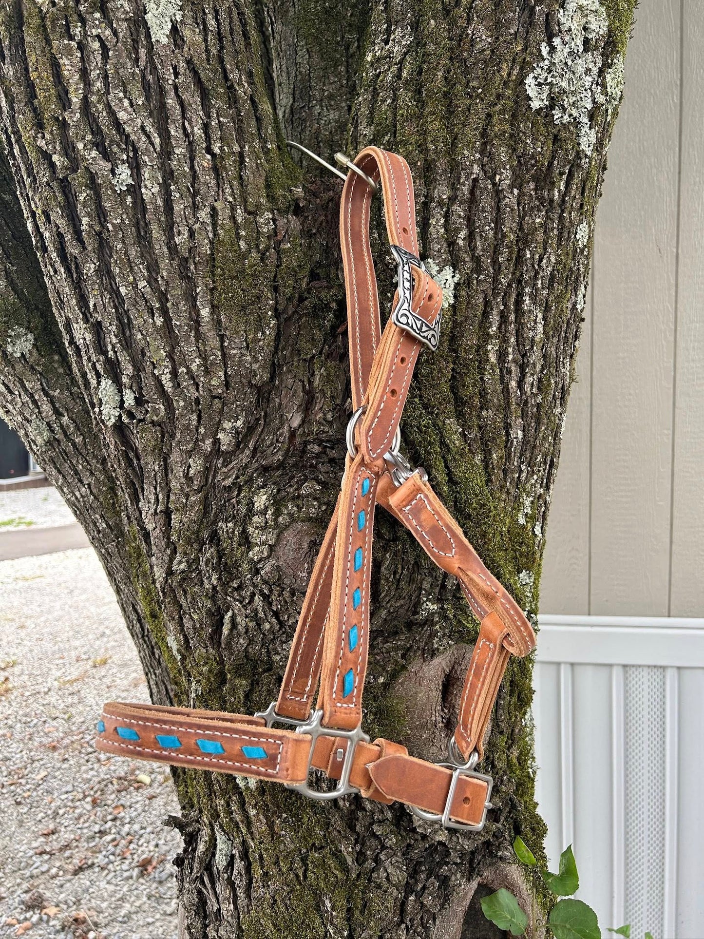 Turquoise Buckstitch