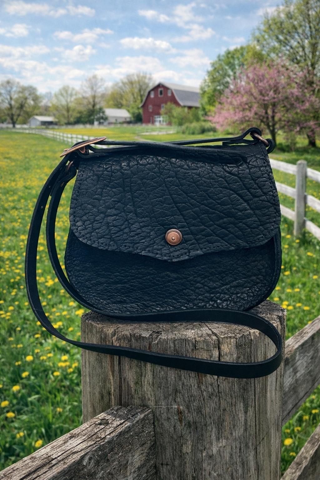 American Bison Black