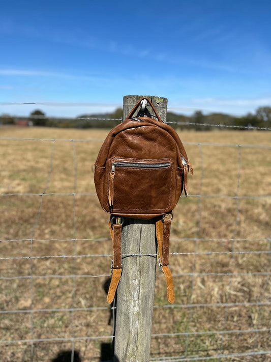 American Bison Sioux Vanilla
