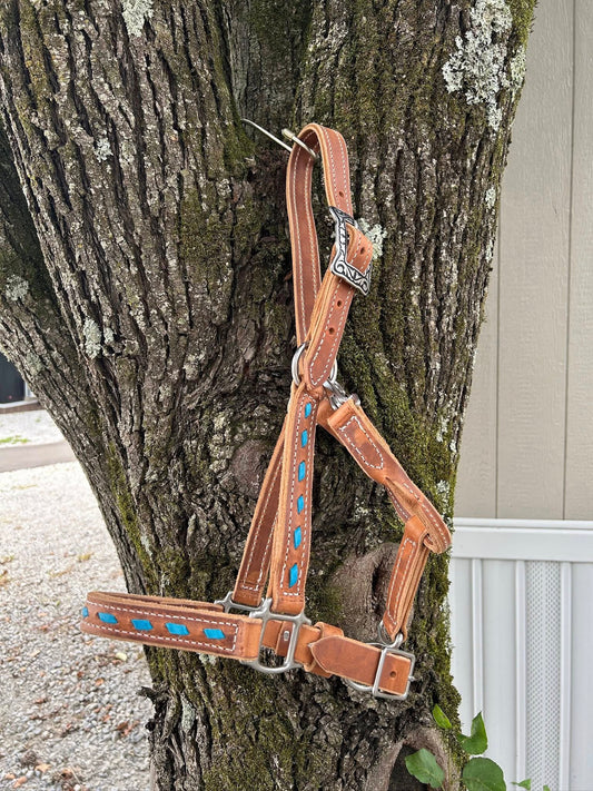 Turquoise Buckstitch